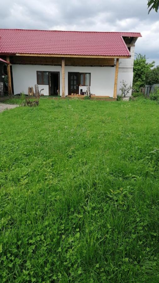 Vila Jugul Taranului Agropensiune Polovragi, Gorj Exteriér fotografie