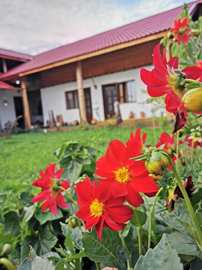 Vila Jugul Taranului Agropensiune Polovragi, Gorj Exteriér fotografie