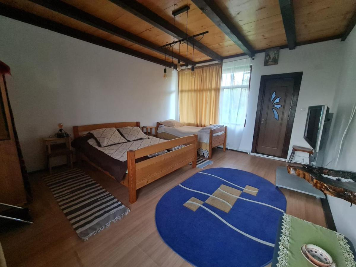 Vila Jugul Taranului Agropensiune Polovragi, Gorj Exteriér fotografie